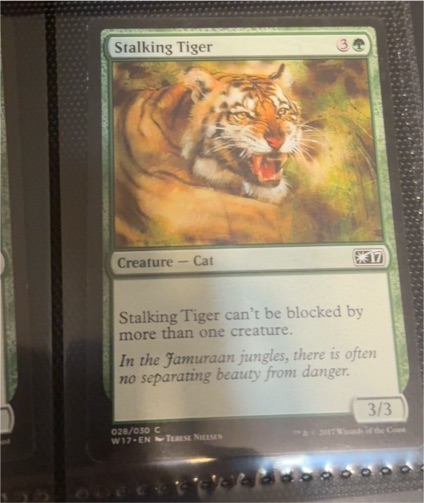 2017 Magic: The Gathering Welcome Deck #28 Stalking Tiger — front