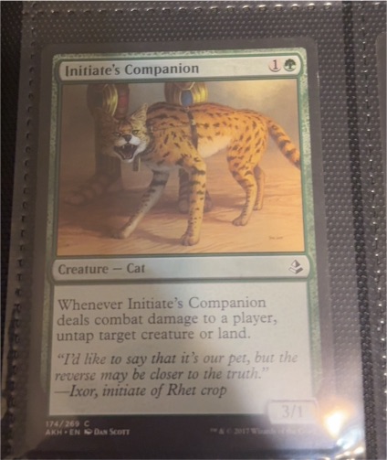 2017 Magic: The Gathering #174 Initiate's Companion — front