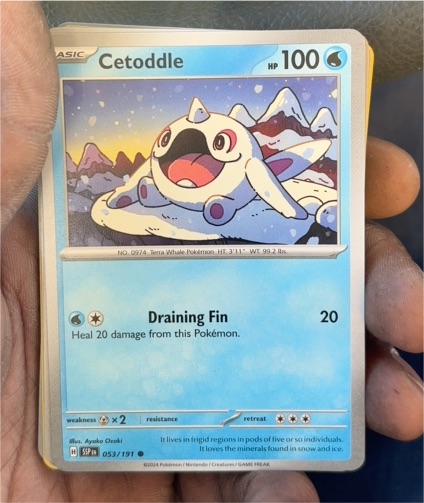 2024 Pokémon SV08: Surging Sparks #053 Cetoddle — front
