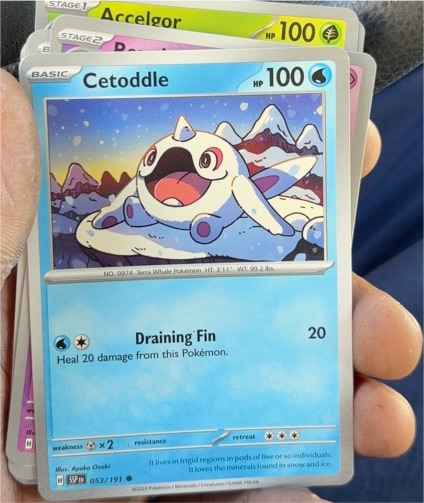 2024 Pokemon TCG Surging Sparks #053 Cetoddle — front