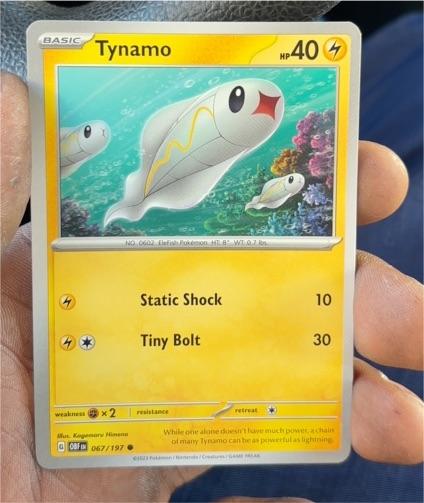 2023 Pokémon SV03: Obsidian Flames #067 Tynamo — front