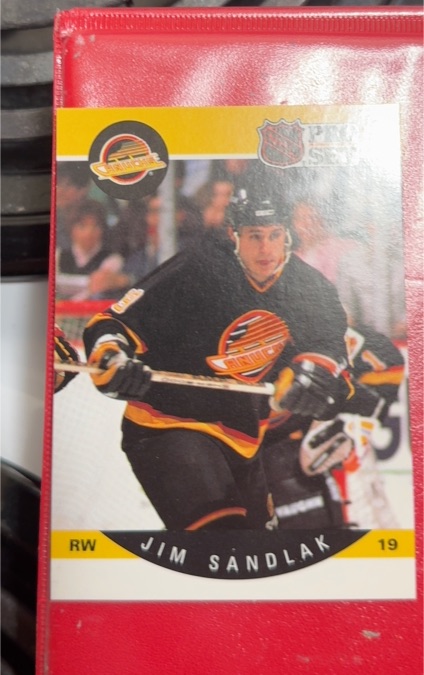 1990-91 Pro Set #305 Jim Sandlak — front