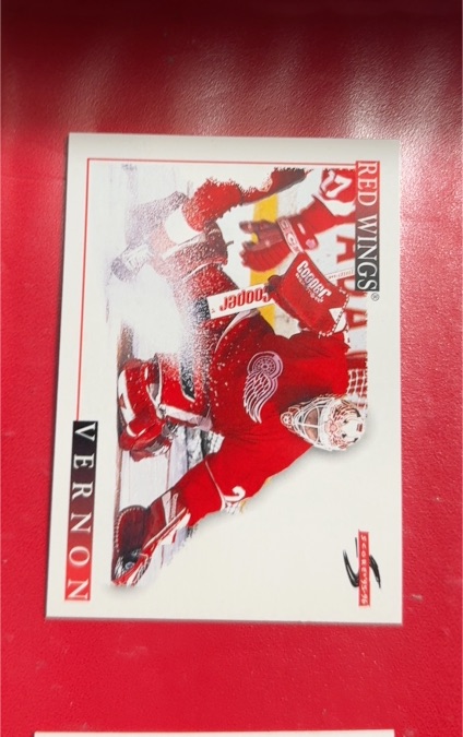 1995-96 Score #219 Mike Vernon — front