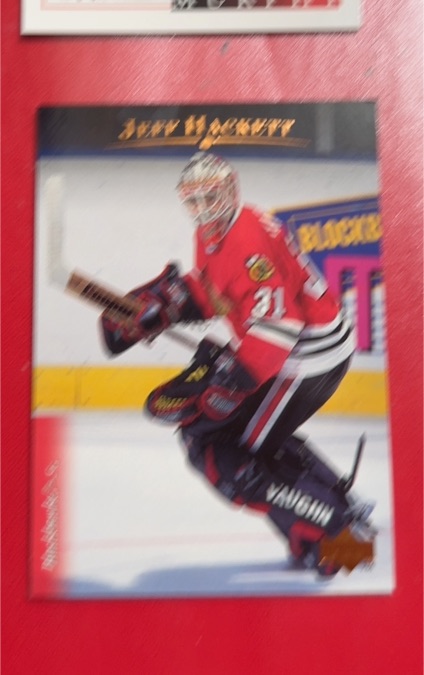 1995-96 Upper Deck Electric Ice #387 Jeff Hackett — front