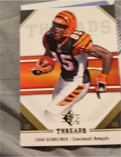 2009 Upper Deck SP Threads #17 Chad Ochocinco — front