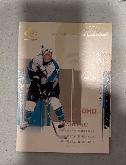 2004-05 SP Authentic UD Promo #49 Steve Sullivan — front