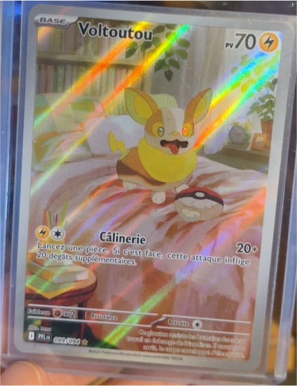 2025 Pokémon #099 Voltoutou — front