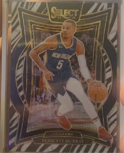 2024-25 Panini Select #13 Dejounte Murray — front