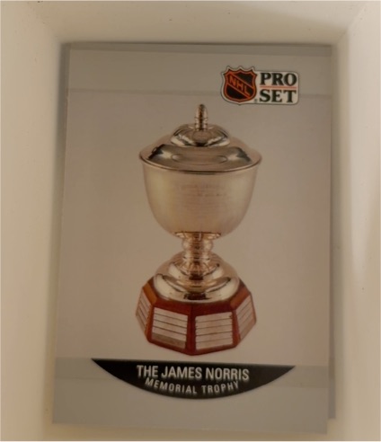 1990-91 Pro Set #384 Ray Bourque The James Norris Memorial Trophy — front