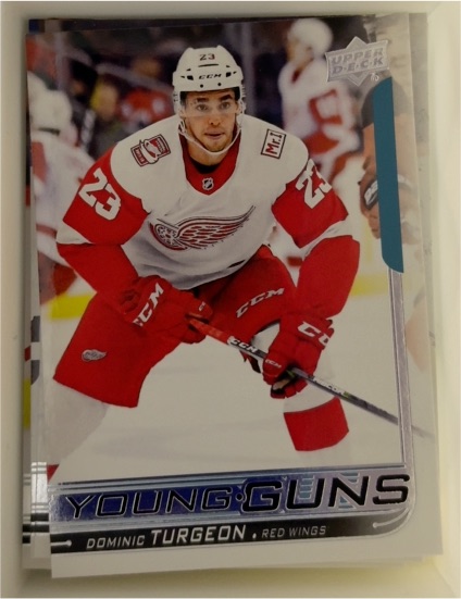 2018-19 Upper Deck Series 2 #486 Dominic Turgeon — front