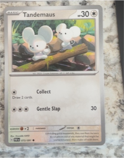 2024 Pokémon SV: Paldean Fates #073 Tandemaus — front