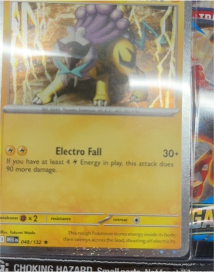 2020 Pokémon TCG ME01: Mega Evolution #048 Raikou — front