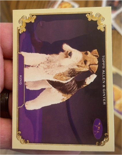 2024 Topps Allen & Ginter #SOS-14 King — front