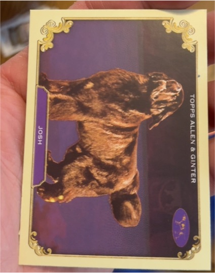 2024 Topps Allen & Ginter #SOS-24 Josh Stars of the Show — front