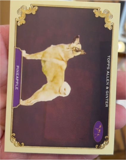 2024 Topps Allen & Ginter #SOS-32 Pineapple Stars of the Show — front