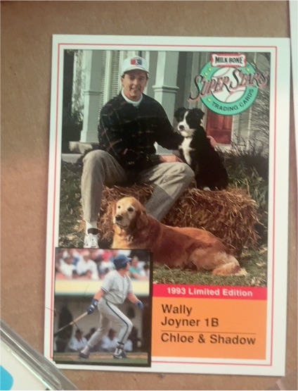 1993 Milk Bone Super Stars #11 Wally Joyner — front