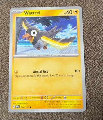 2024 Pokémon SV08 Surging Sparks #066 Wattrel — front