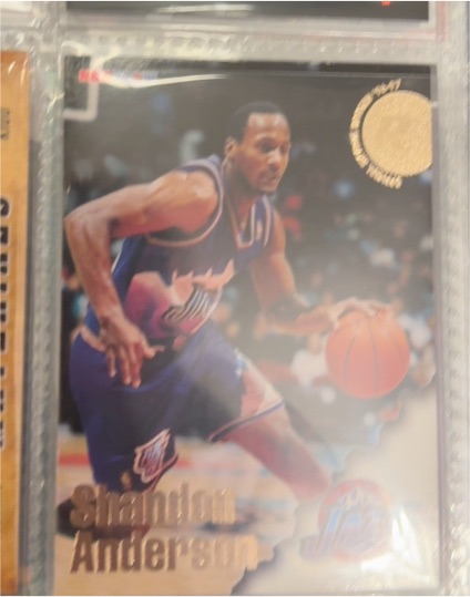 1994-95 Topps #23 Shandon Anderson — front