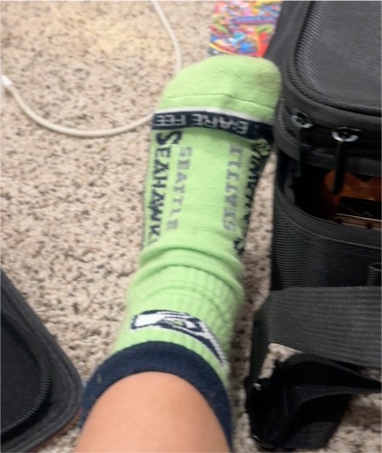 Seattle Seahawks Logo Sock — front