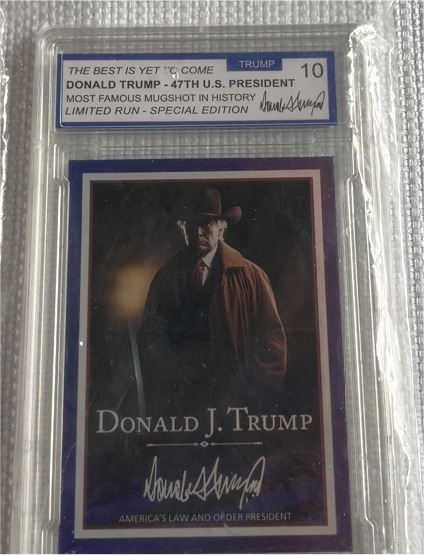 Donald Trump Law & Order #10 Limited Run Special Edition — front