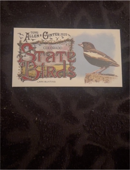 2025 Topps Allen & Ginter Mini State Birds #SB-6 Lark Bunting — front