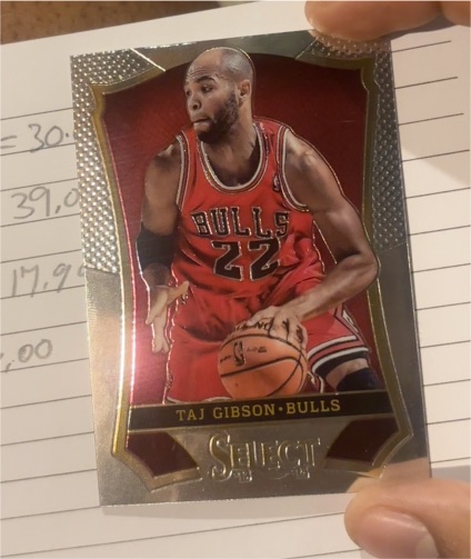 2013-14 Panini Select Silver Taj Gibson — front
