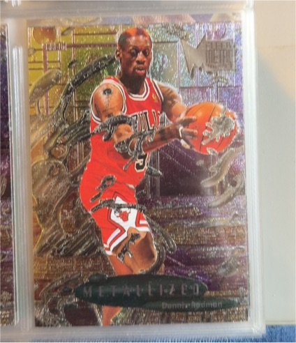 1996-97 Fleer Metal #231 Dennis Rodman Metallized — front