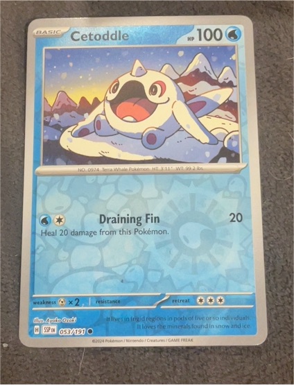 2024 Pokémon Scarlet & Violet Surging Sparks #053 Cetoddle — front