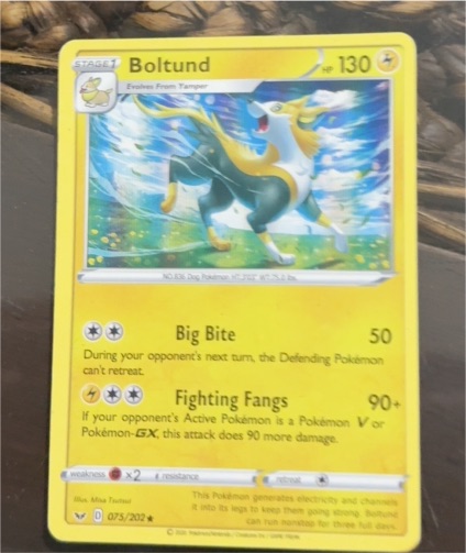 2022 Pokémon Sword & Shield #075 Boltund — front