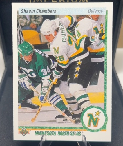 1990-91 Upper Deck #106 Shawn Chambers — front