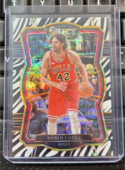 2017-18 Panini Select #164 Robin Lopez — front
