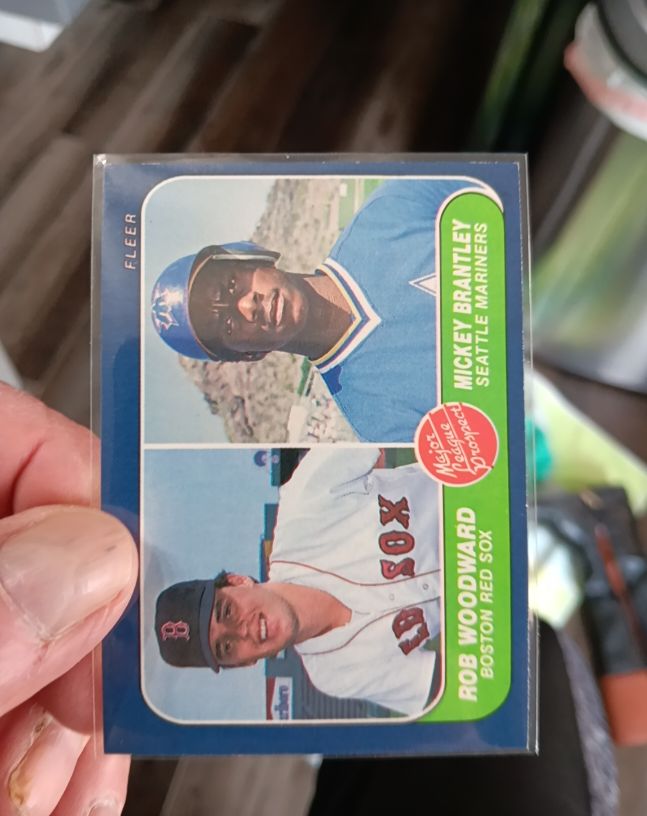 1986 Fleer #651 Rob Woodward/Mickey Brantley — front