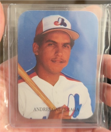 1987 Indiana Blue Sox Inc. #29 Andres Galarraga — front
