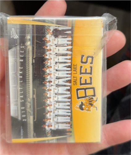 2010 Topps Salt Lake Bees Team Card — front