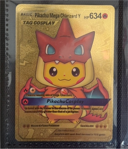 2024 Fan Art #002 Pikachu Mega Charizard Y Tag Cosplay — front