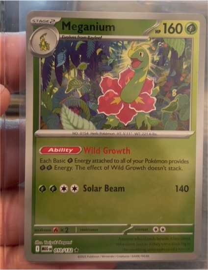 2023 Pokémon ME01: Mega Evolution #010 Meganium — front