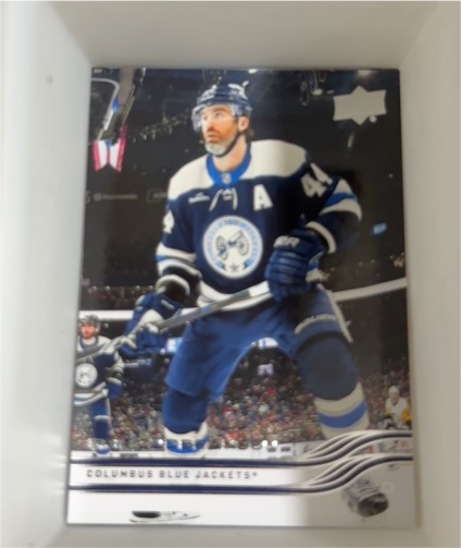 2025-26 Upper Deck #46 Erik Gudbranson — front