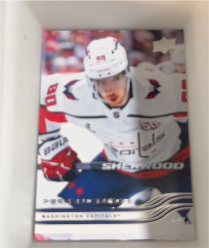 2025-26 Upper Deck #189 Pierre-Luc Dubois — front