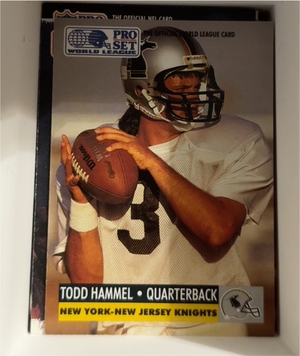 1991 Pro Set World League #19 Todd Hammel New York-New Jersey Knights — front