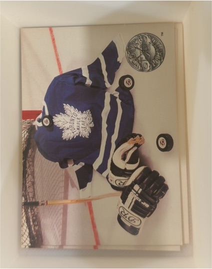 1991-92 Pro Set Platinum #150 Toronto Maple Leafs Team Card — front