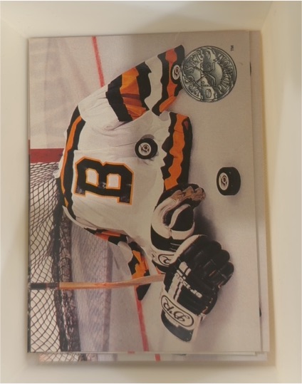 1991-92 Pro Set Platinum #145 Boston Bruins — front