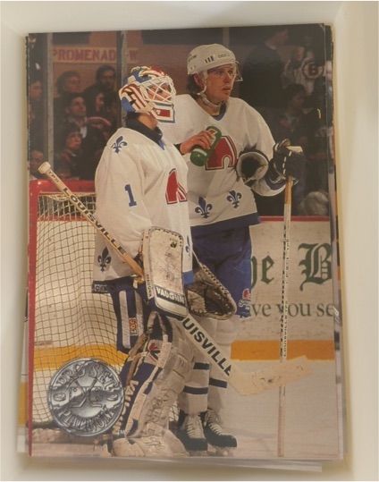 1991-92 Pro Set Platinum #103 Bryan Fogarty Quebec Nordiques — front