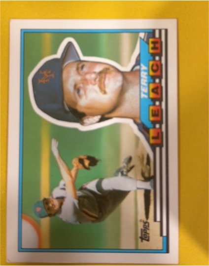 1989 Topps Big #96 Terry Leach — front