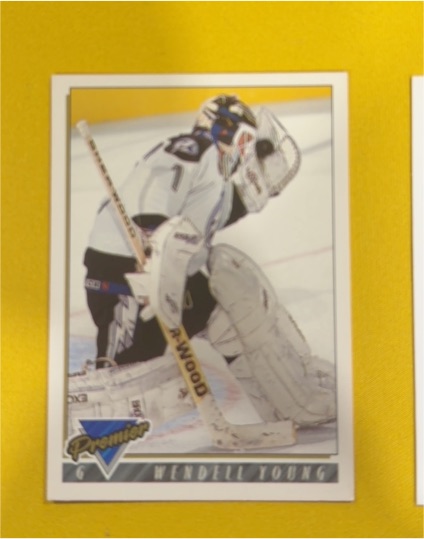 1993-94 Topps Premier #166 Wendell Young — front