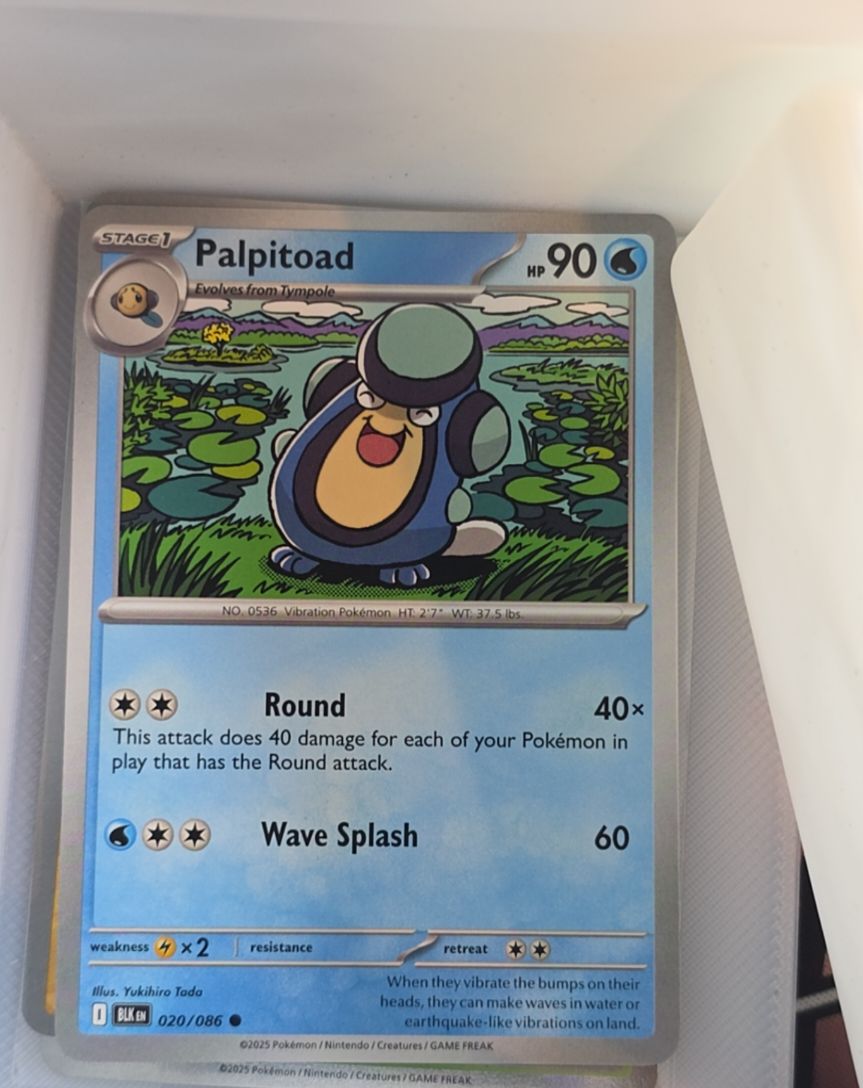 2025 Pokemon Black Bolt #020 Palpitoad — front