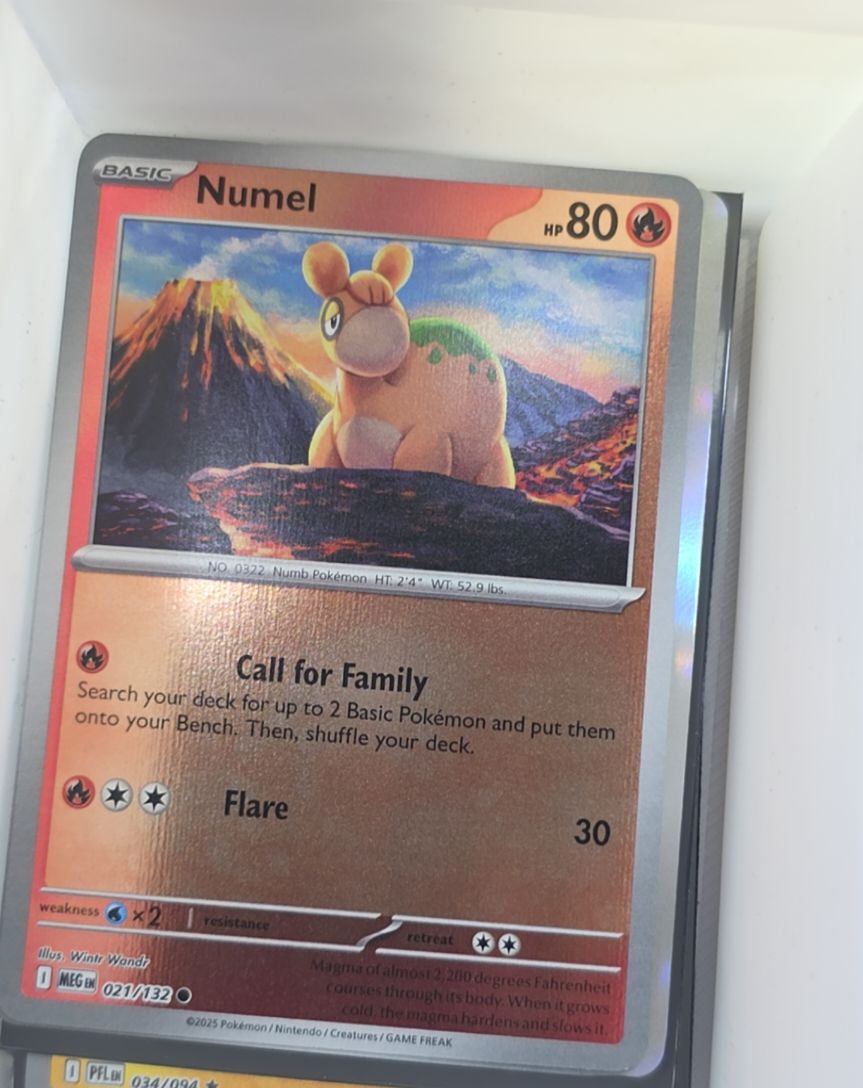 2025 Pokemon Mega Evolution #021 Numel — front