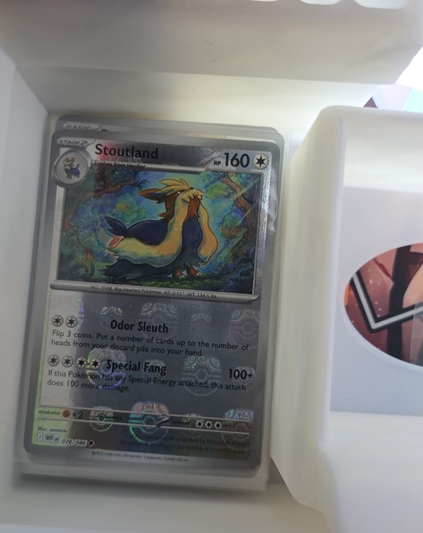 2025 Pokémon Scarlet & Violet #076 Stoutland — front