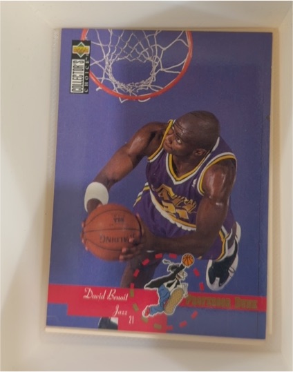 1995-96 Upper Deck Collector's Choice #204 David Benoit — front