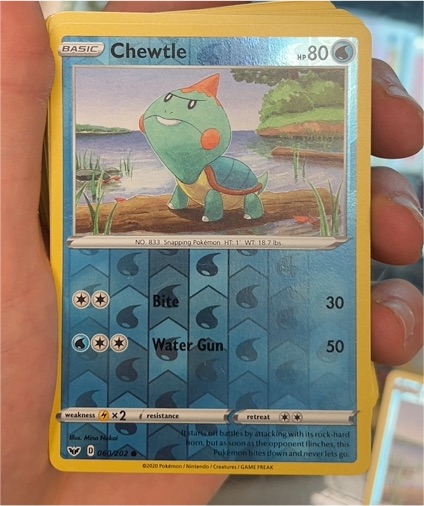 2020 Pokémon Sword & Shield #060 Chewtle — front