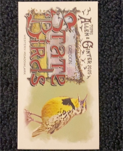 2025 Topps Allen & Ginter #SB-26 Western Meadowlark Mini State Birds — front